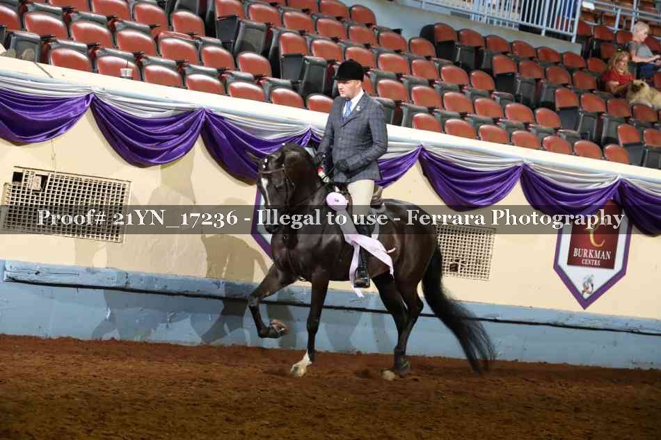 Proof 21YN_17236