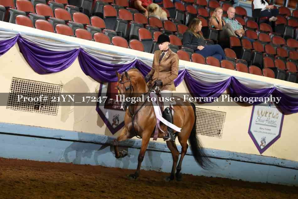 Proof 21YN_17247