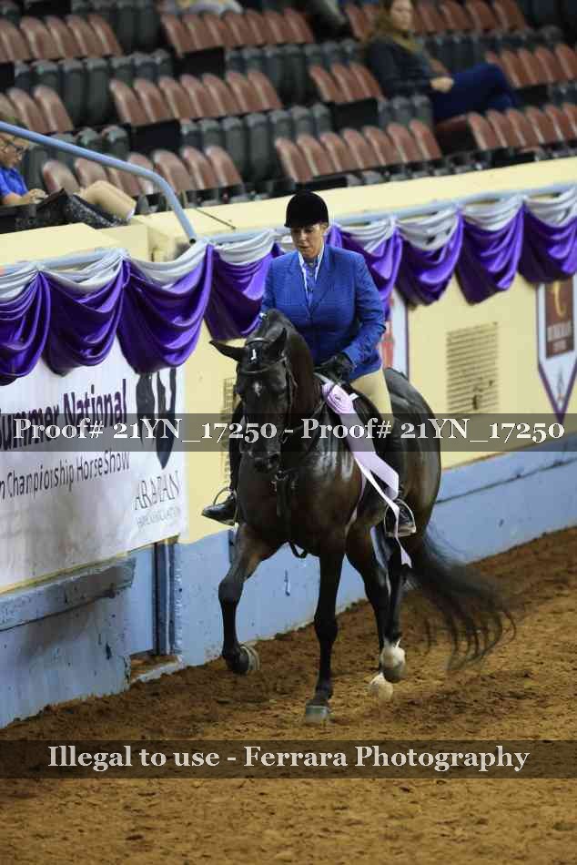 Proof 21YN_17250