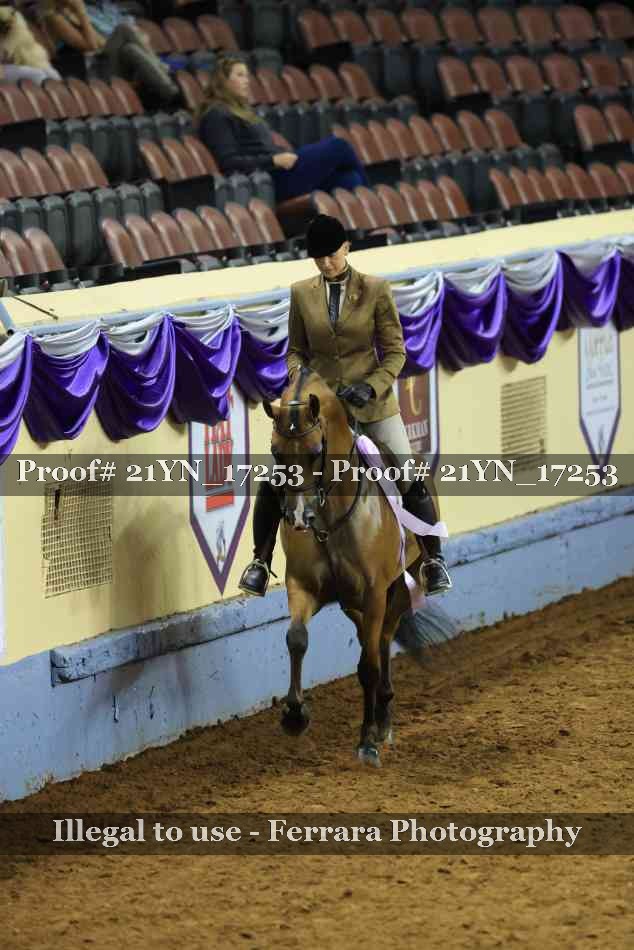 Proof 21YN_17253