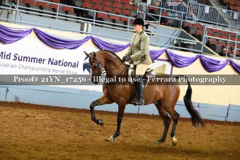 Proof 21YN_17256