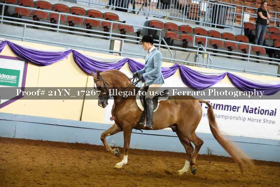Proof 21YN_17267