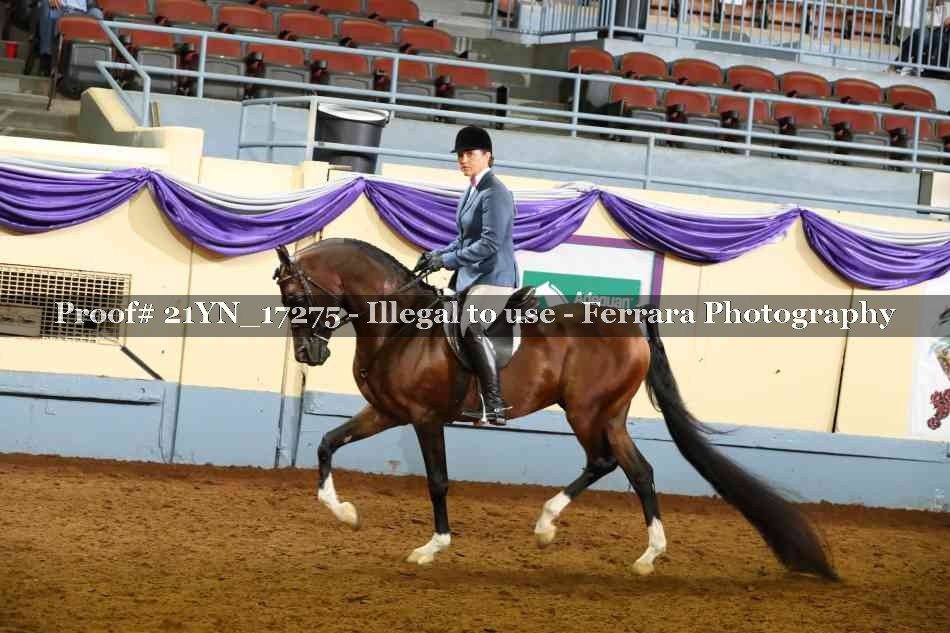 Proof 21YN_17275