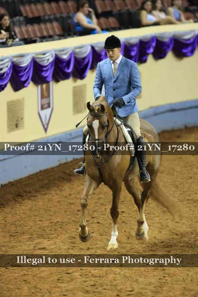 Proof 21YN_17280