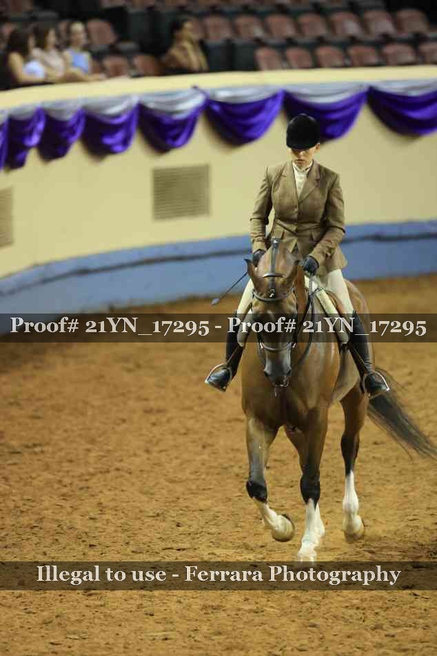 Proof 21YN_17295