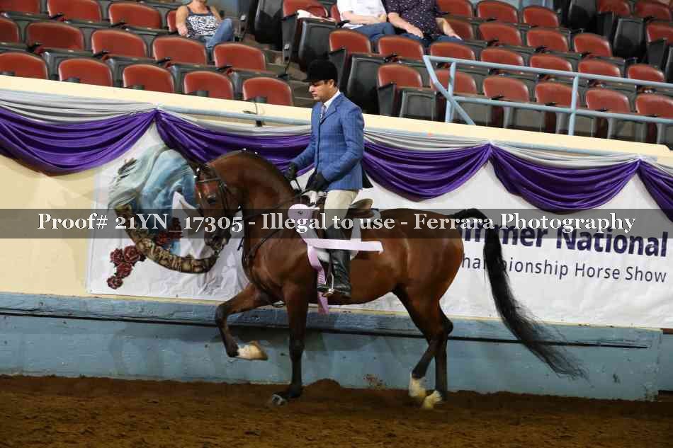 Proof 21YN_17305