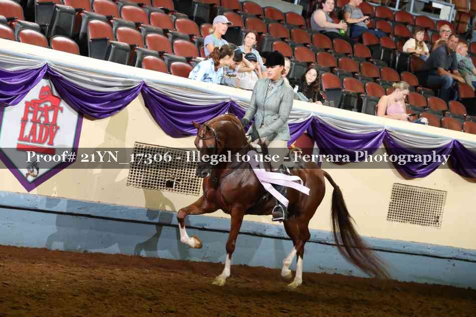Proof 21YN_17306