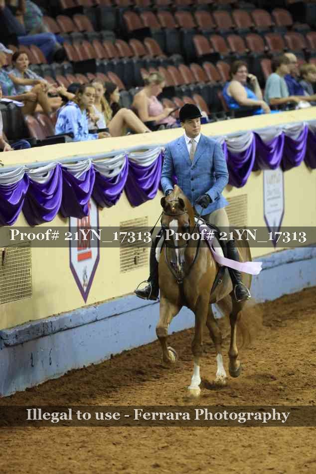 Proof 21YN_17313