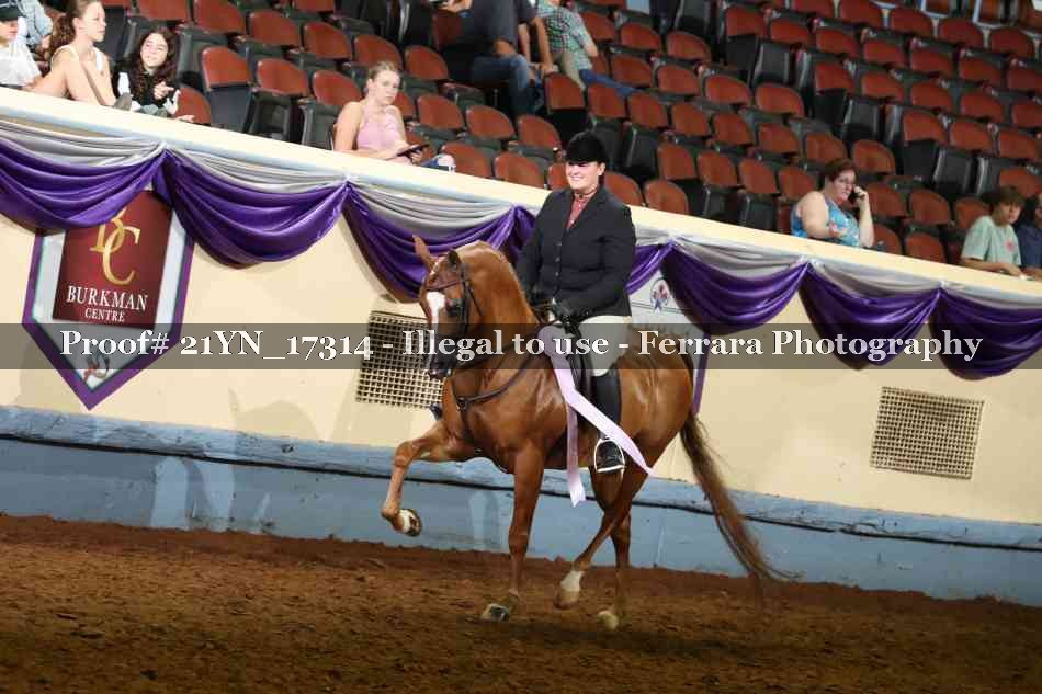 Proof 21YN_17314
