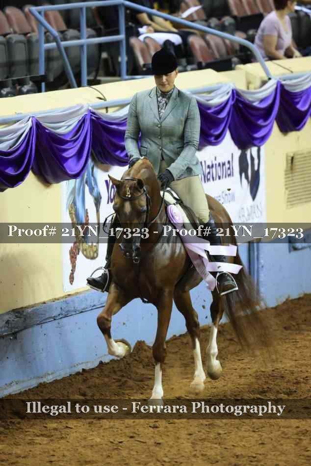 Proof 21YN_17323