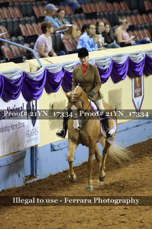 Proof 21YN_17334