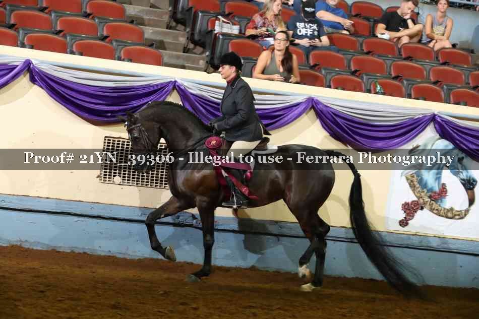 Proof 21YN_39306