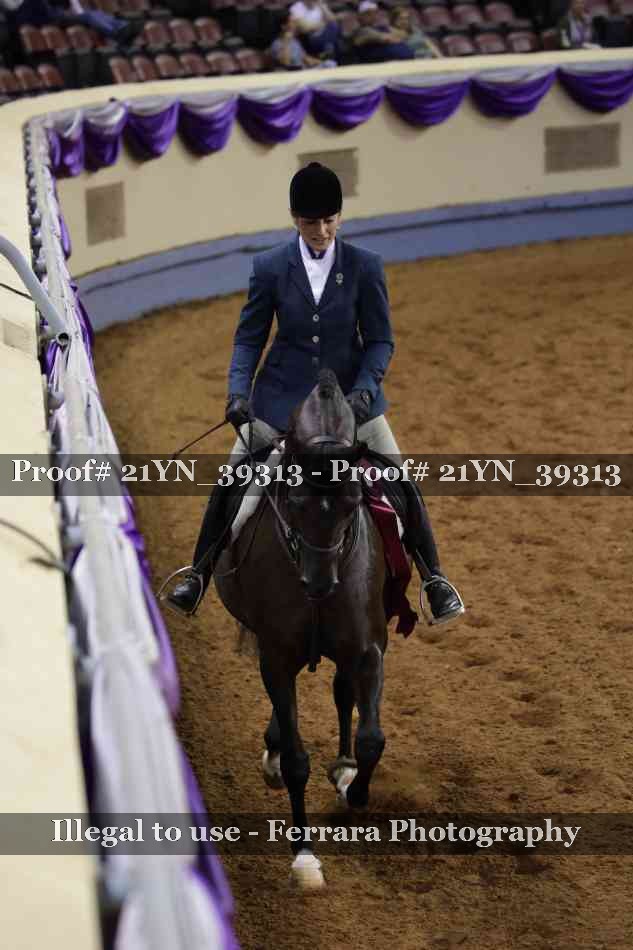 Proof 21YN_39313