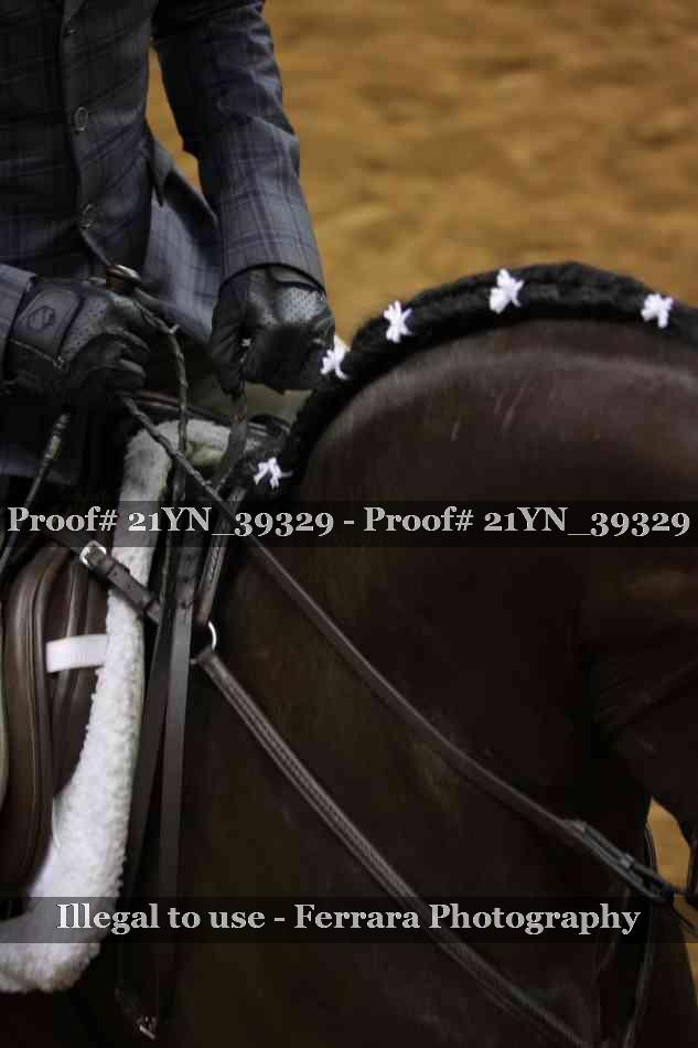 Proof 21YN_39329