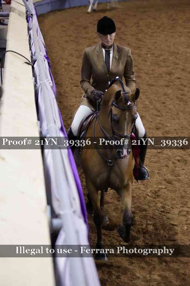 Proof 21YN_39336