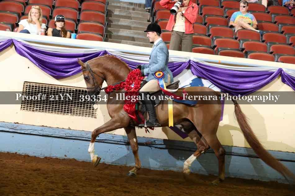 Proof 21YN_39354