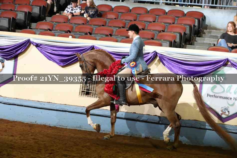 Proof 21YN_39355