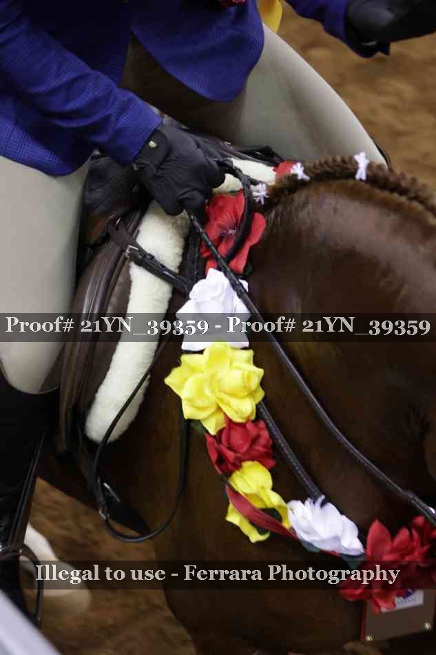 Proof 21YN_39359