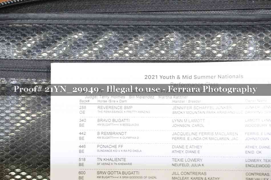 Proof 21YN_29949