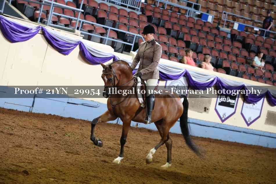 Proof 21YN_29954