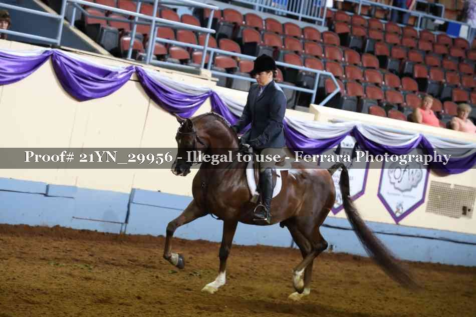 Proof 21YN_29956