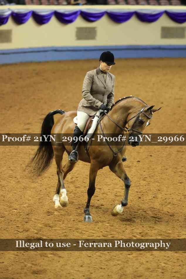 Proof 21YN_29966