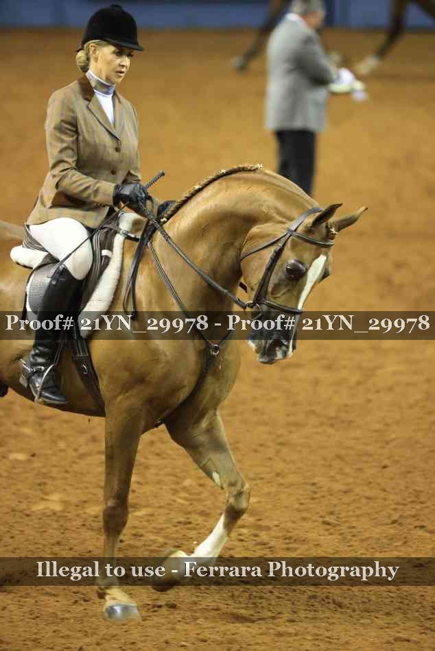 Proof 21YN_29978