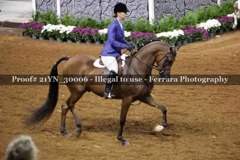 Proof 21YN_30006