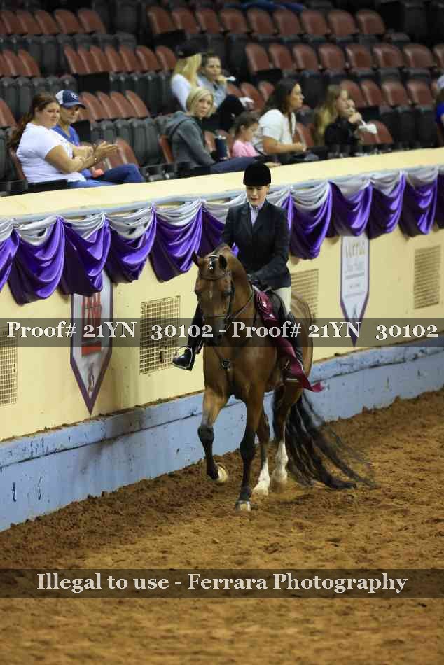 Proof 21YN_30102