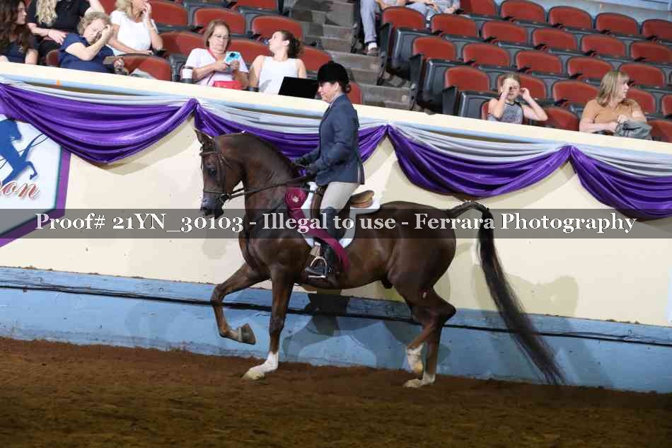 Proof 21YN_30103