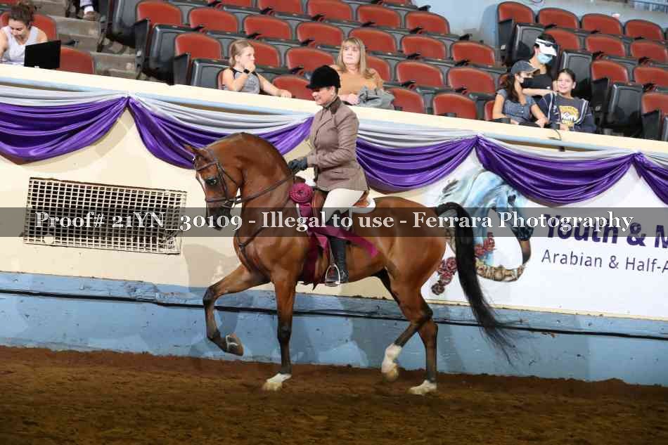 Proof 21YN_30109