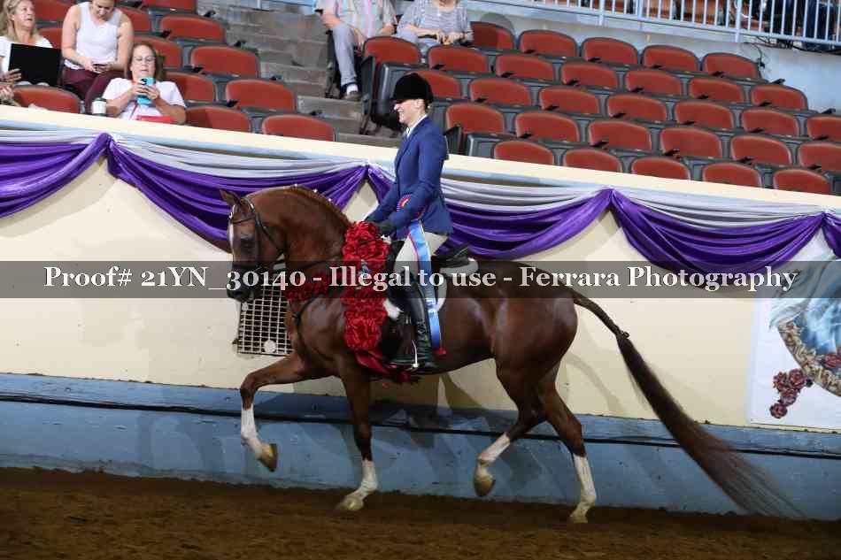 Proof 21YN_30140