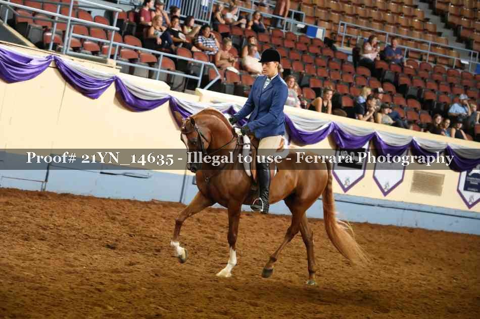 Proof 21YN_14635
