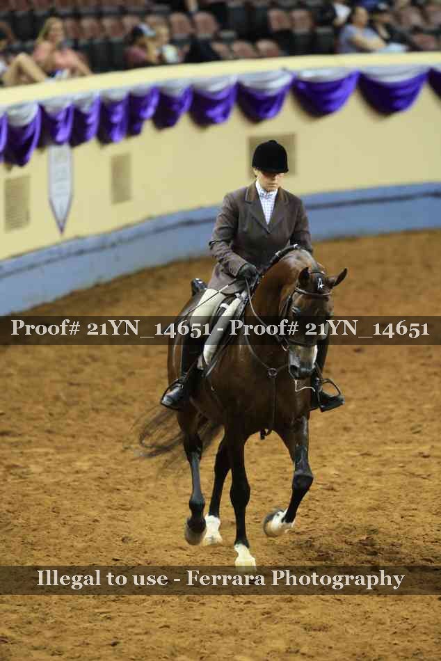 Proof 21YN_14651