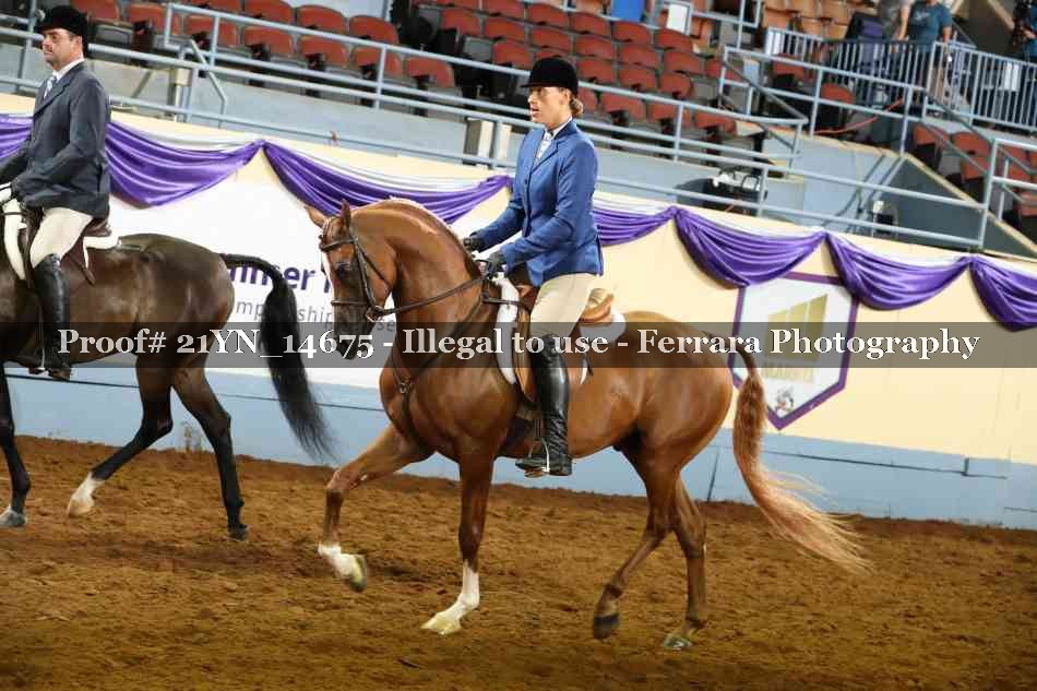 Proof 21YN_14675