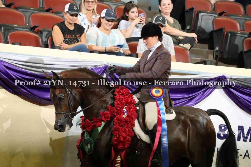 Proof 21YN_14731