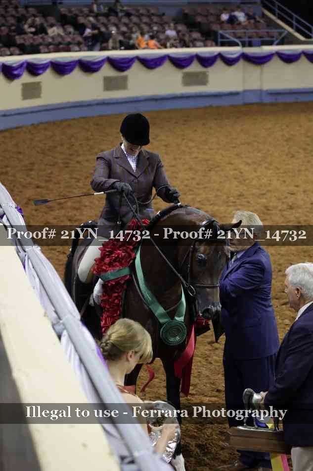 Proof 21YN_14732