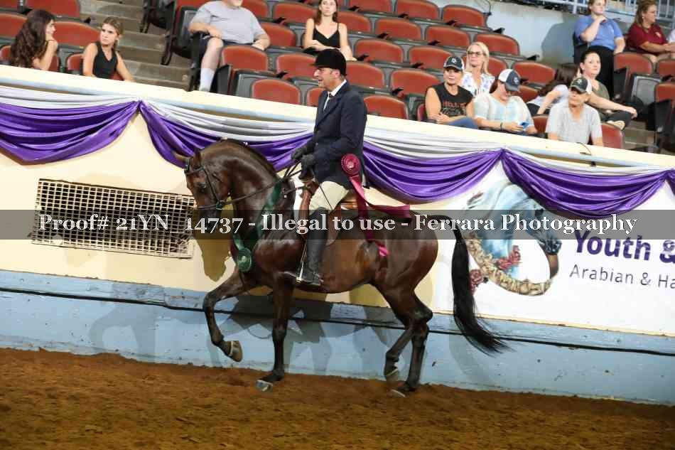 Proof 21YN_14737