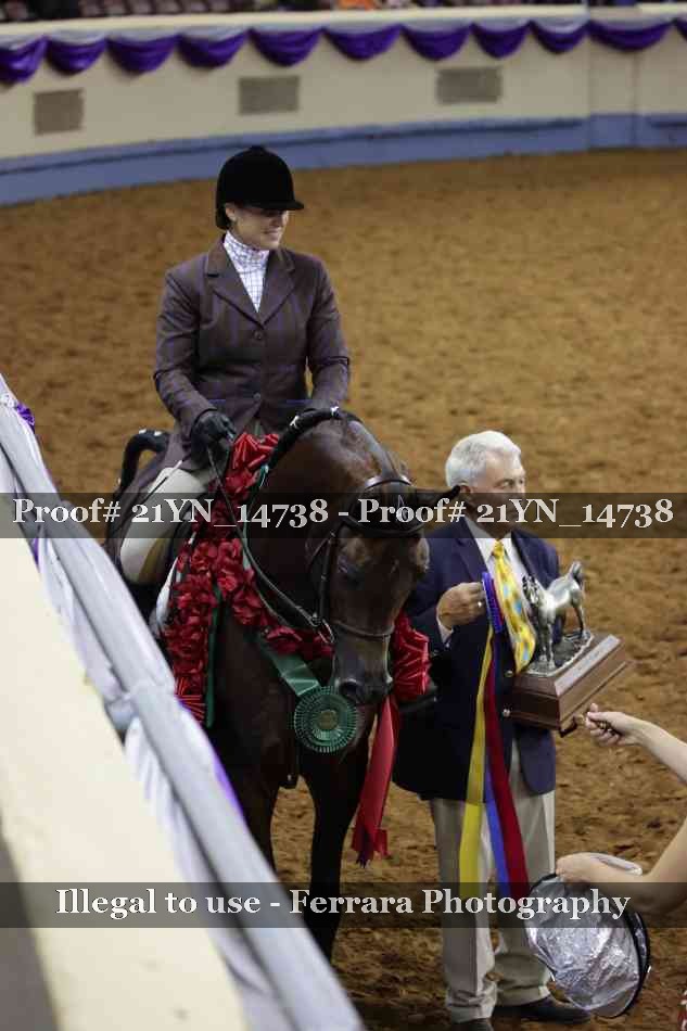 Proof 21YN_14738