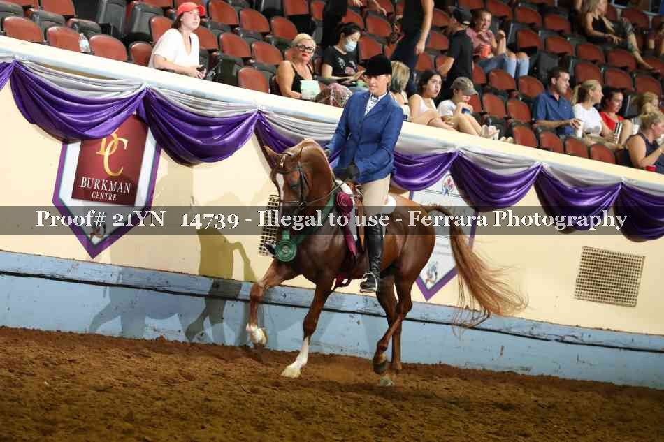 Proof 21YN_14739