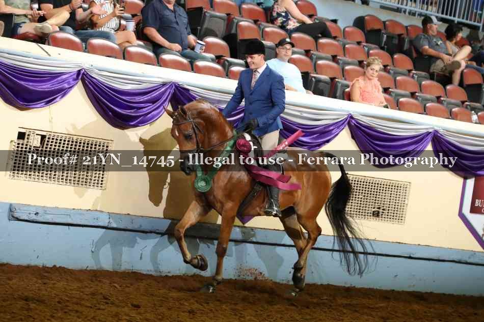 Proof 21YN_14745