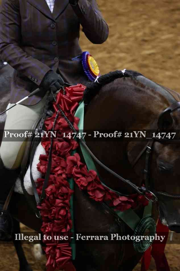 Proof 21YN_14747