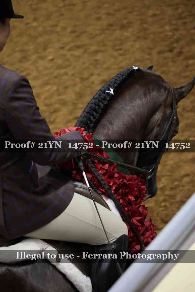 Proof 21YN_14752