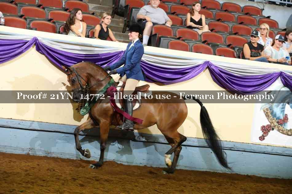 Proof 21YN_14772
