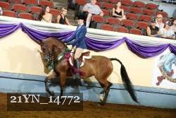 21YN_14772 proof