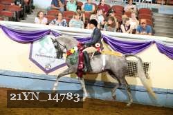 21YN_14783 proof