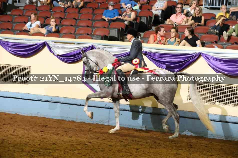 Proof 21YN_14784