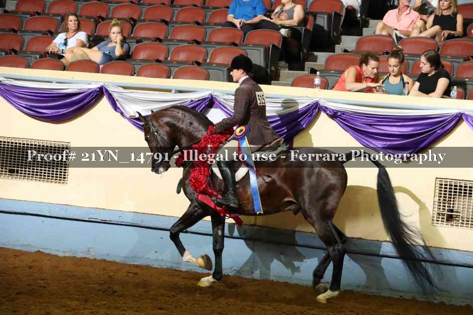 Proof 21YN_14791