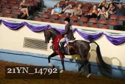 21YN_14792 proof