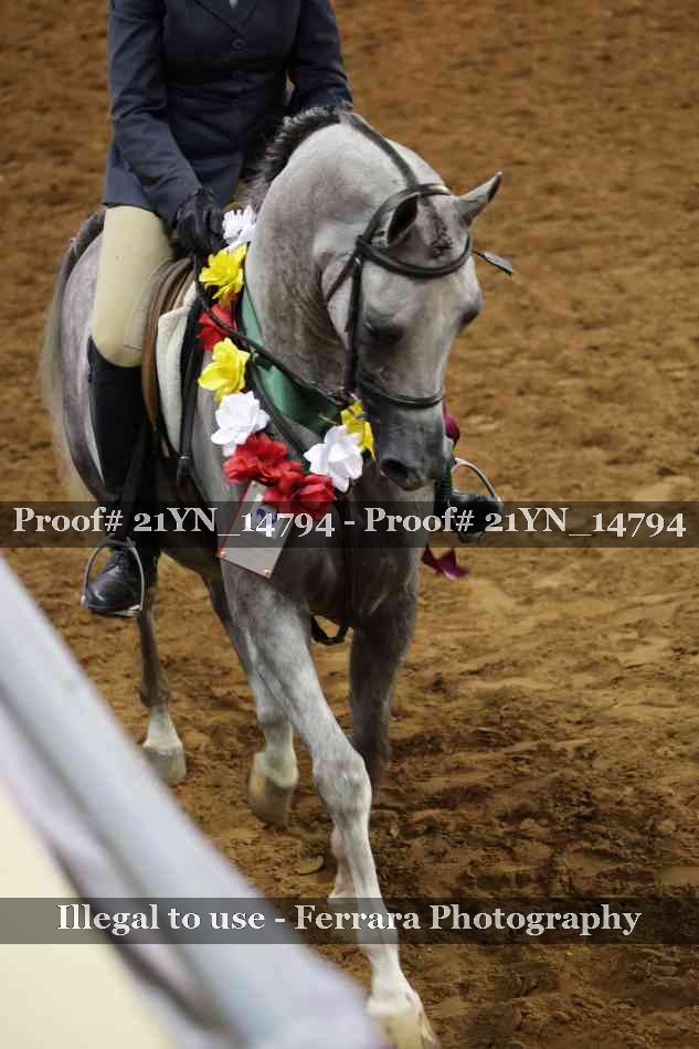 Proof 21YN_14794